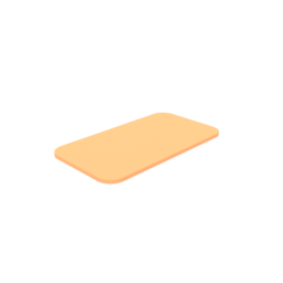 Rug Doormat